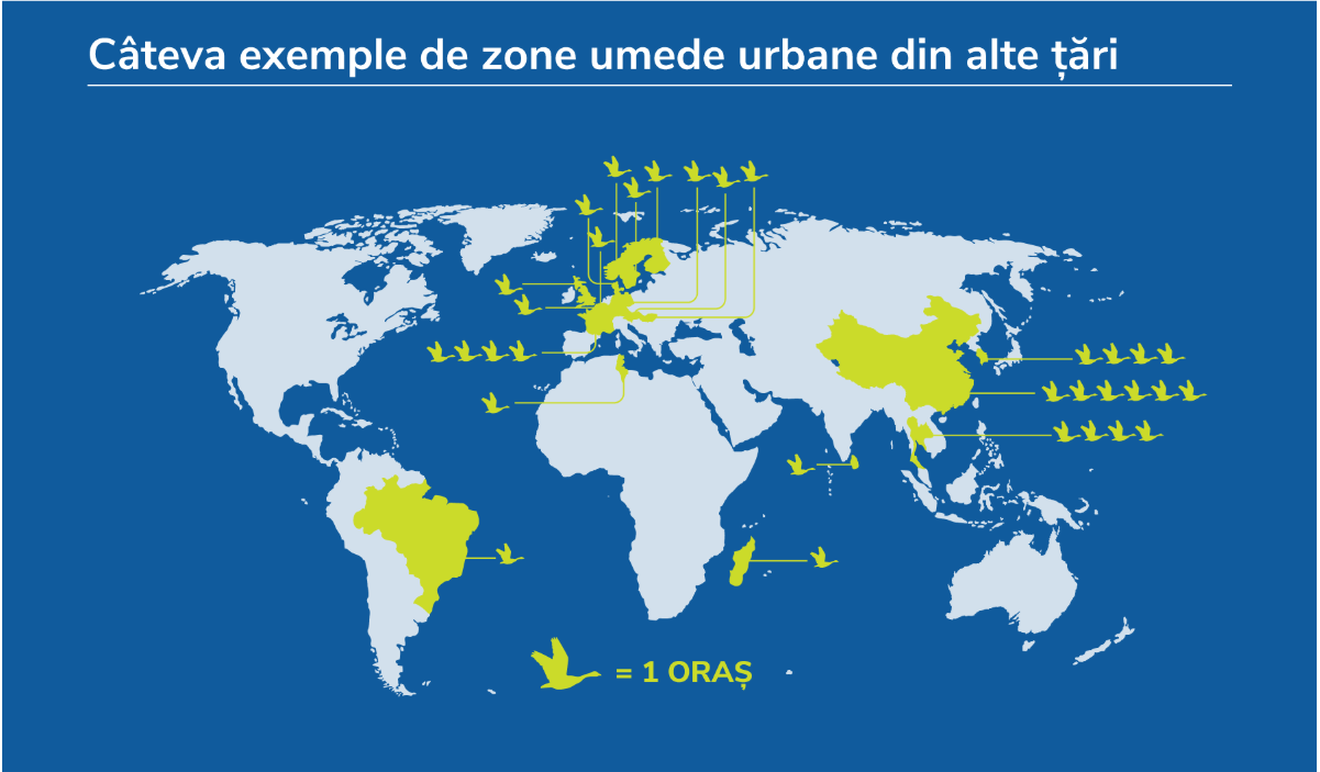 Zonele umede dau viață orașului Zonele umede dau viață orașului