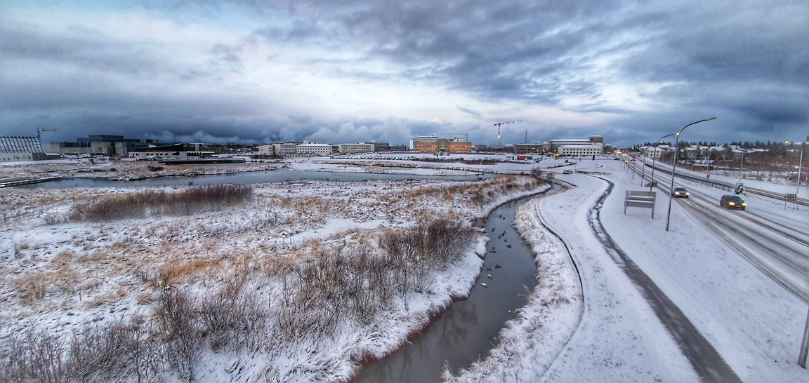 Vizită de studiu în Reykjavik, Islanda. Vizită de studiu în Reykjavik, Islanda.