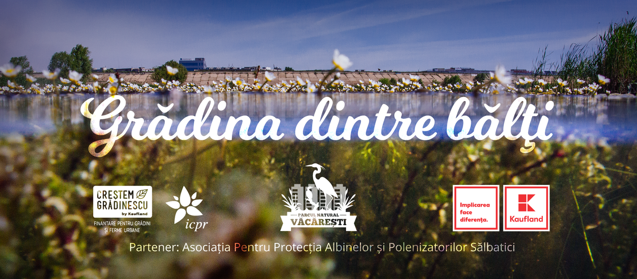 Grădina dintre Bălți Grădina dintre Bălți