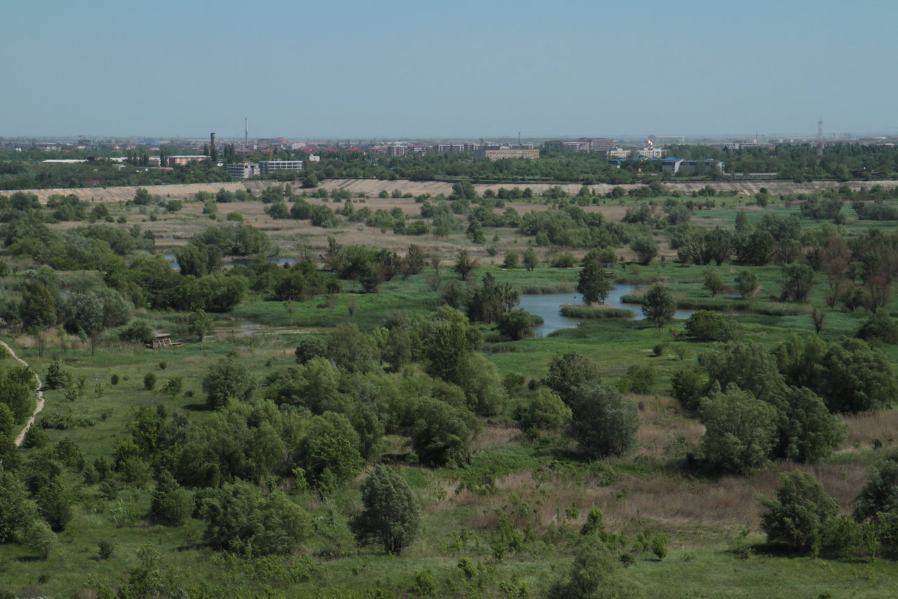 Cum văd vizitatorii Parcul Natural Văcărești? Cum văd vizitatorii Parcul Natural Văcărești?