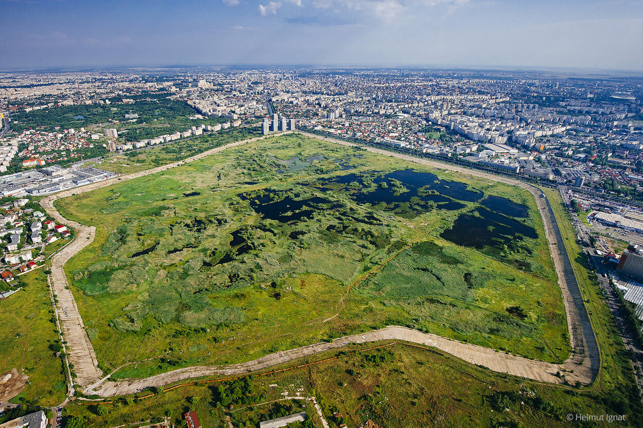 Organizațiile non-guvernamentale din România cer protecție pentru Parcul Natural Văcărești Organizațiile non-guvernamentale din România cer protecție pentru Parcul Natural Văcărești