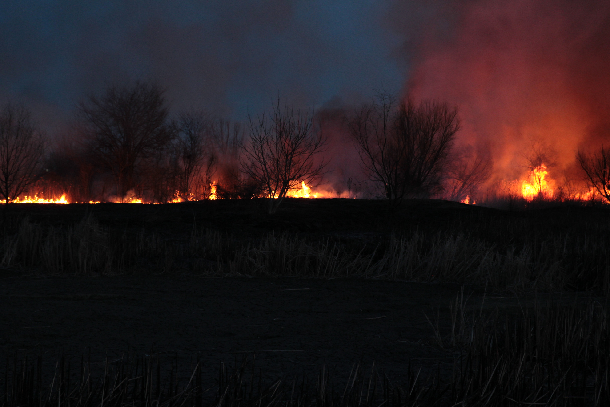 Un an de foc Un an de foc