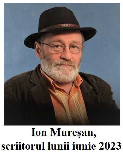 3a.-ion-muresan.png
